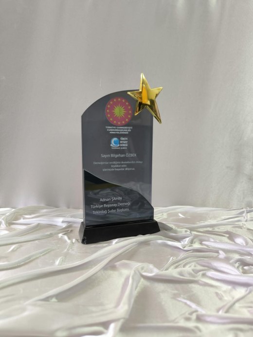 Nur Plaket NP-029 kodlu plaket