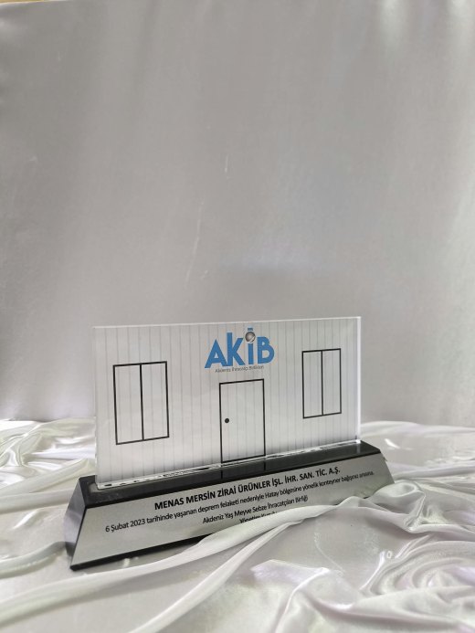 Nur Plaket NP-250 kodlu 3 boyutlu ürün, 12 x 21 cm